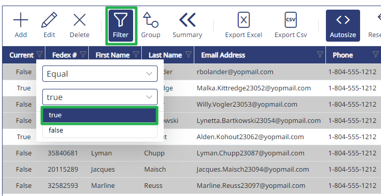 Filtering the Current column to True