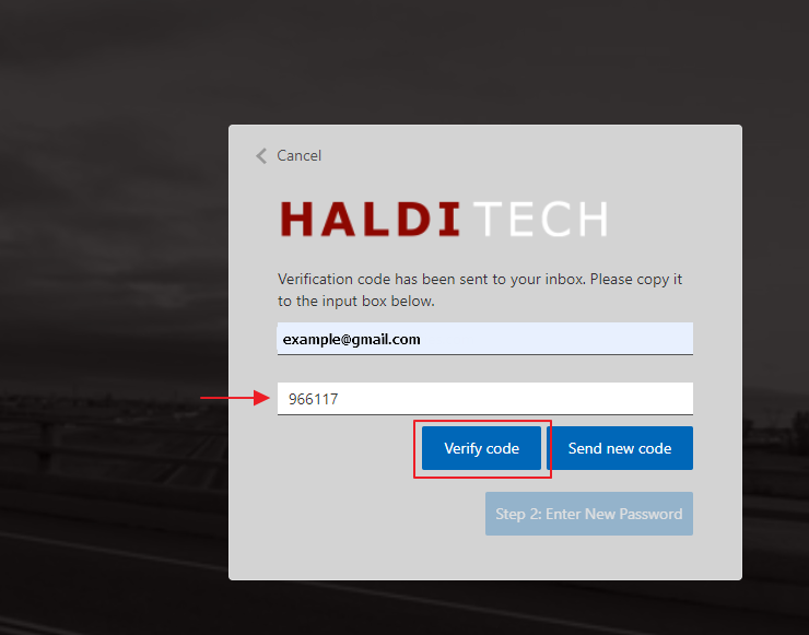 Enter email and code, click Verify Code